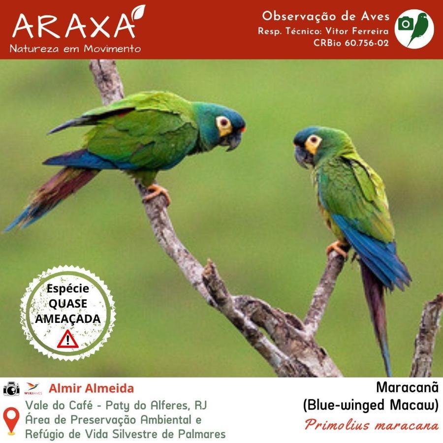 باتي دو الفيريس Sitio Araxa - 82 Anos De Historia - Suite Confortavel Em Meio A Floresta المظهر الخارجي الصورة