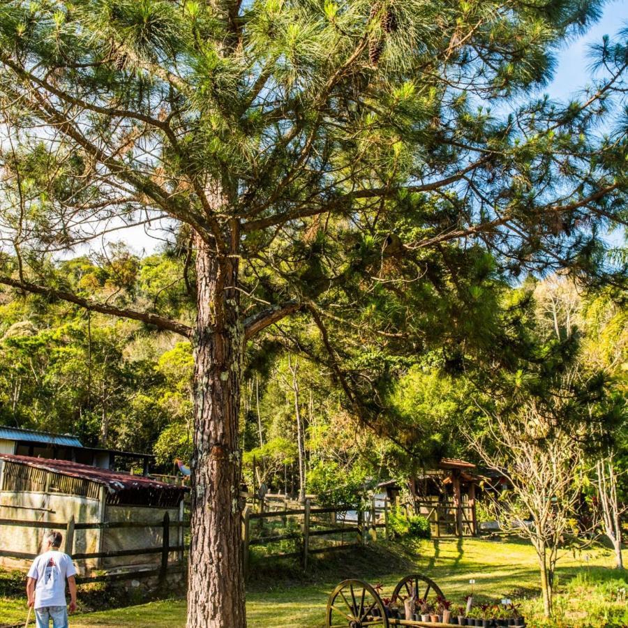 باتي دو الفيريس Sitio Araxa - 82 Anos De Historia - Suite Confortavel Em Meio A Floresta المظهر الخارجي الصورة