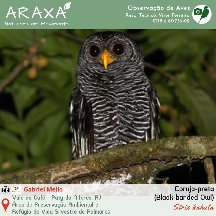 باتي دو الفيريس Sitio Araxa - 82 Anos De Historia - Suite Confortavel Em Meio A Floresta المظهر الخارجي الصورة